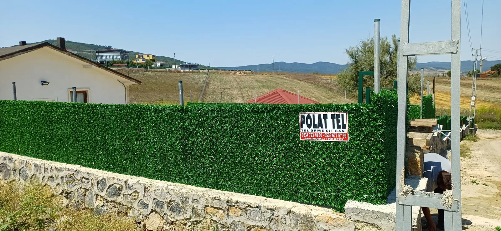 Çim çit · Duvar üstü